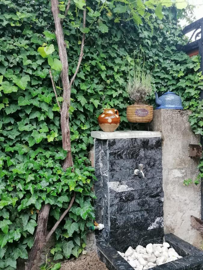 Autograph Boutique Home 9 Borjomi Luaran gambar
